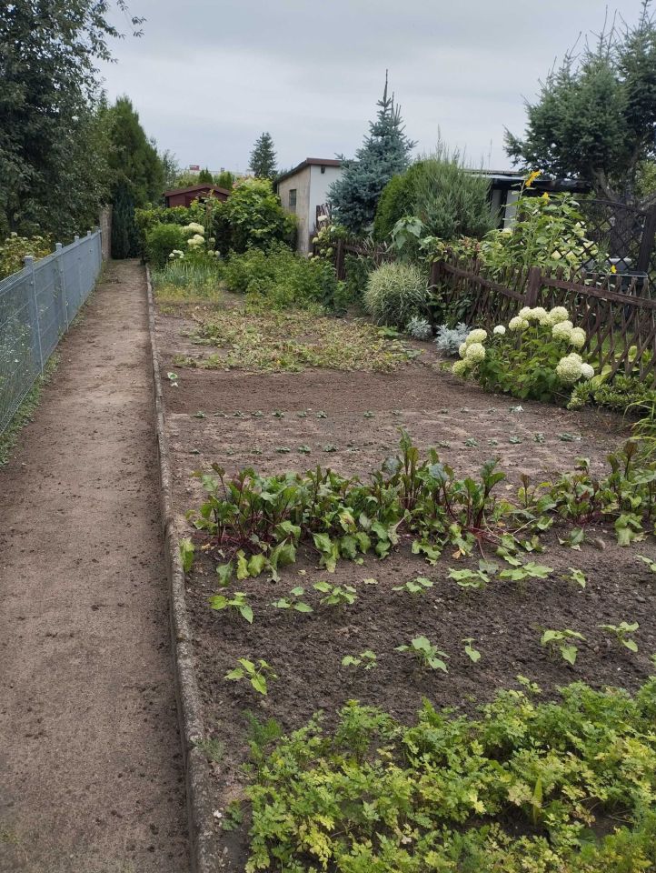 Działka rod Września. Zdjęcie 5