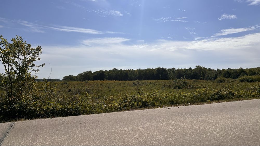 Działka rolna Pęplino. Zdjęcie 3