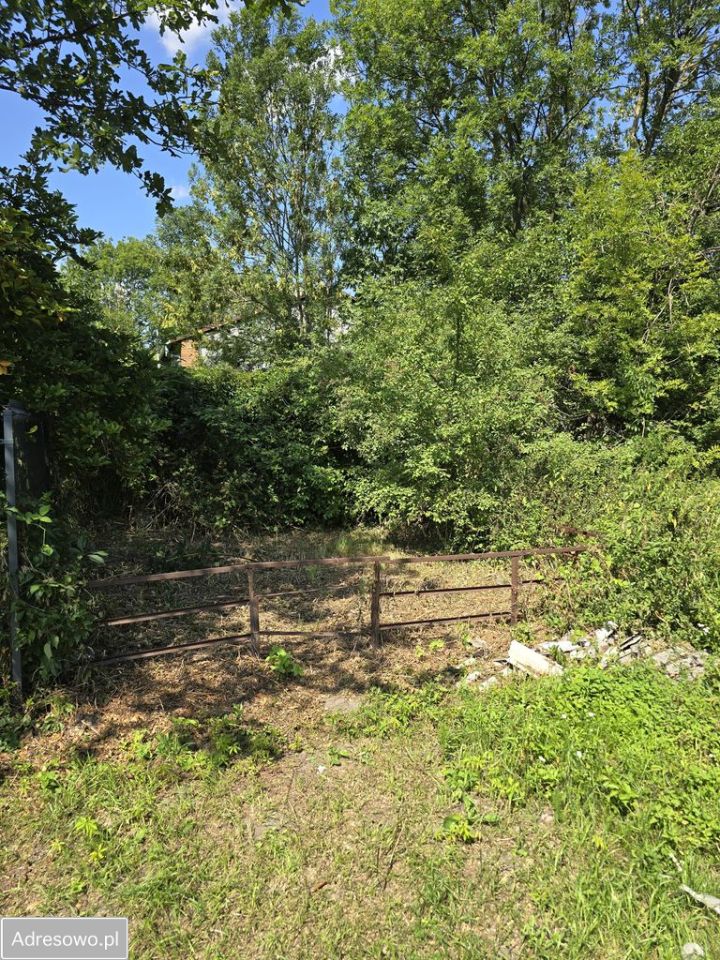 Mieszkanie 2-pokojowe Lwówek. Zdjęcie 3