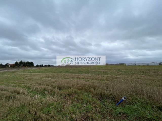 Działka budowlana Tokary. Zdjęcie 5