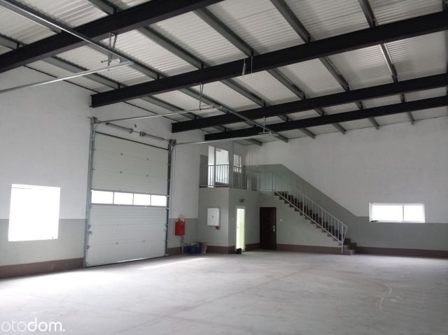 Hala/magazyn Reda Pieleszewo, ul. Zielarzy. Zdjęcie 6