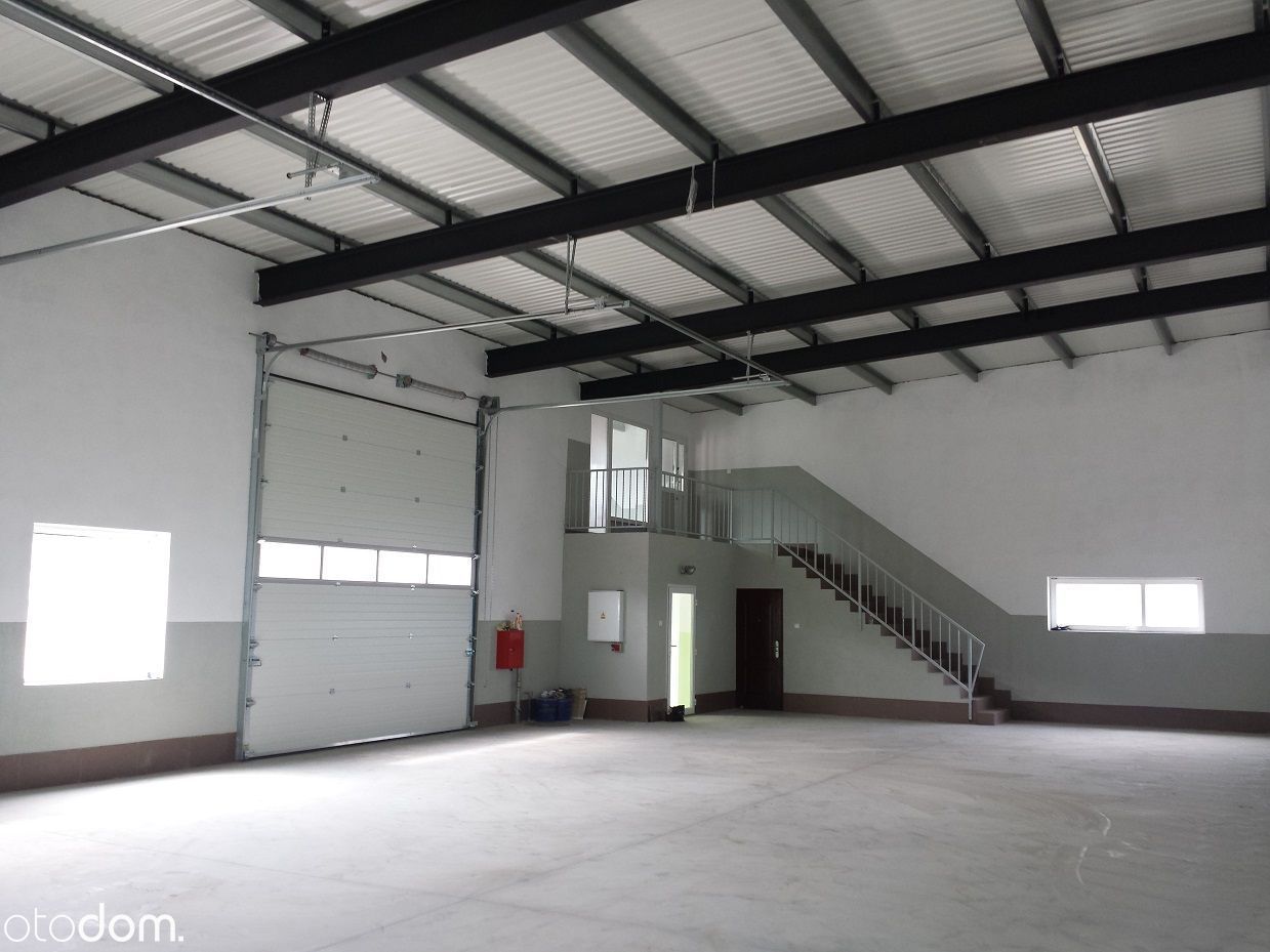 Hala/magazyn Reda Pieleszewo, ul. Zielarzy. Zdjęcie 6