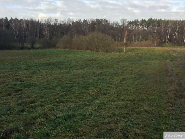 Działka rekreacyjna Cisowy. Zdjęcie 1