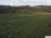 Działka rekreacyjna Cisowy