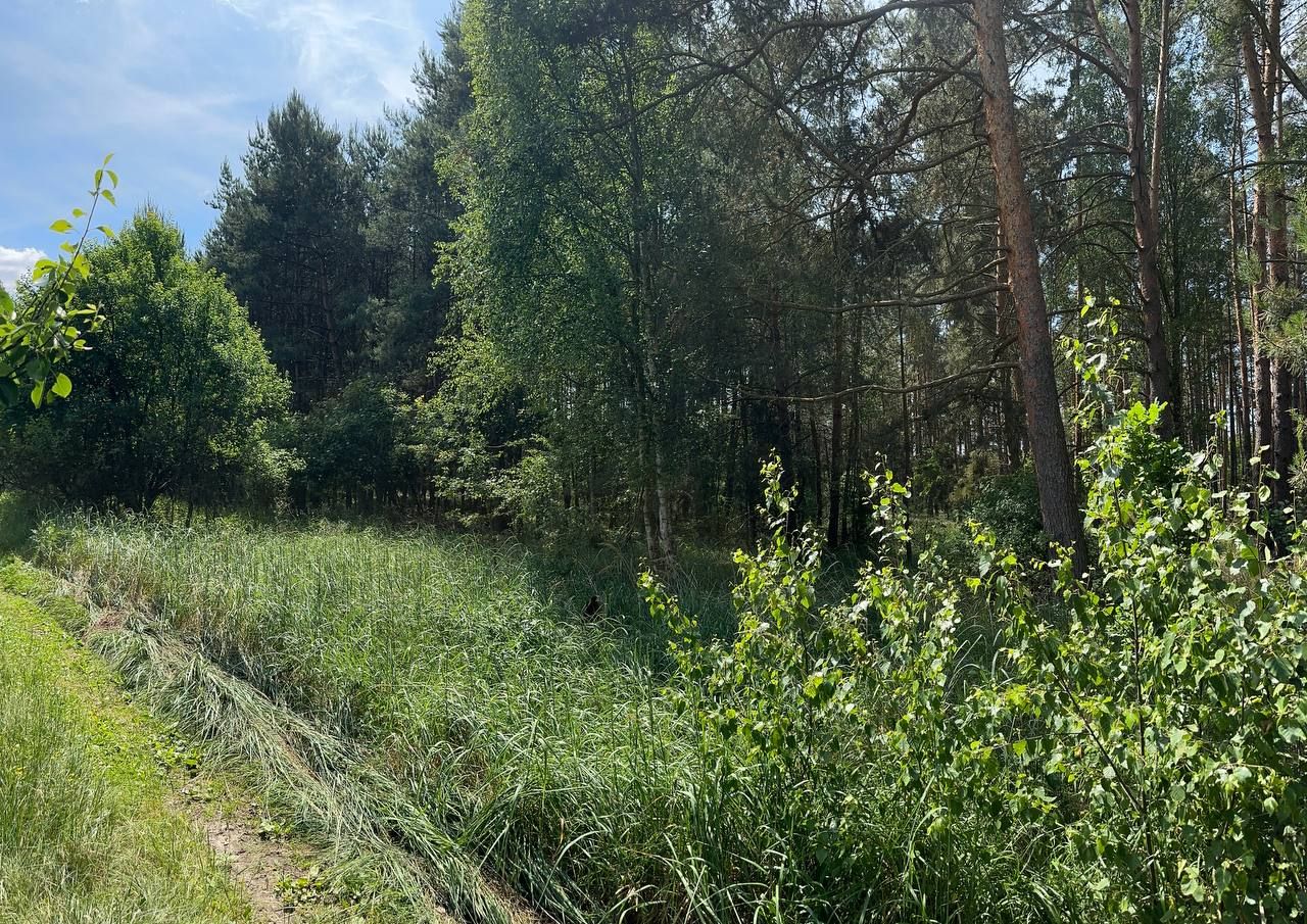 Działka rolna Trzebule. Zdjęcie 7