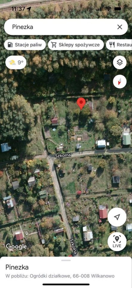 Działka rod Wilkanowo, ul. Szkolna. Zdjęcie 5