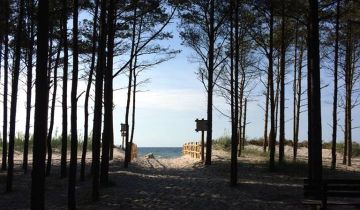 Działka rekreacyjna Sasino