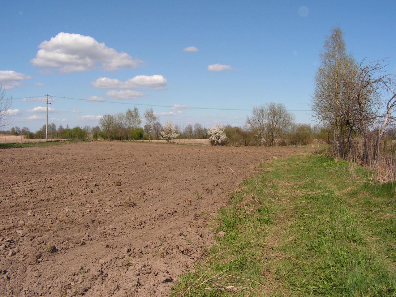 Działka inwestycyjna Bezledy. Zdjęcie 14