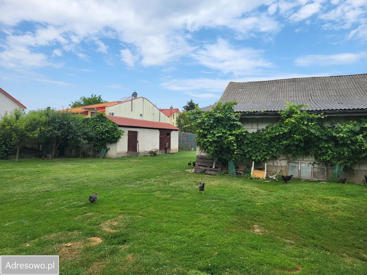 dom wolnostojący, 6 pokoi Stara Wieś. Zdjęcie 15