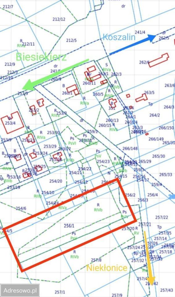 Działka rolna Stare Bielice. Zdjęcie 2