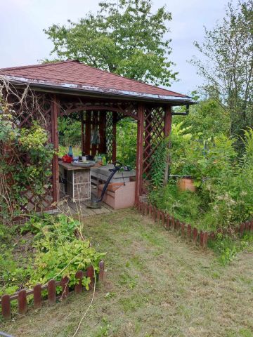 Działka rod Gdańsk Owczarnia, ul. Owczarnia. Zdjęcie 1