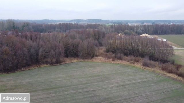 Działka budowlana Chwalęcice, ul. Jarzębinowa. Zdjęcie 1