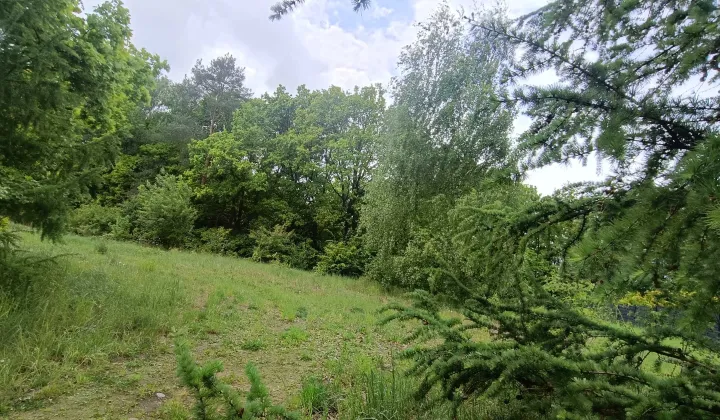 Działka budowlana Wisławie