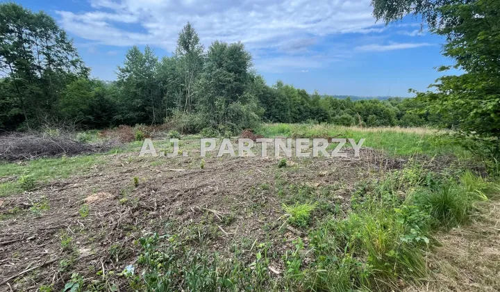 Działka budowlana Golkowice