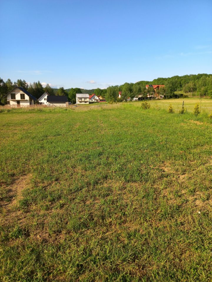 Działka budowlana Gogołów. Zdjęcie 6