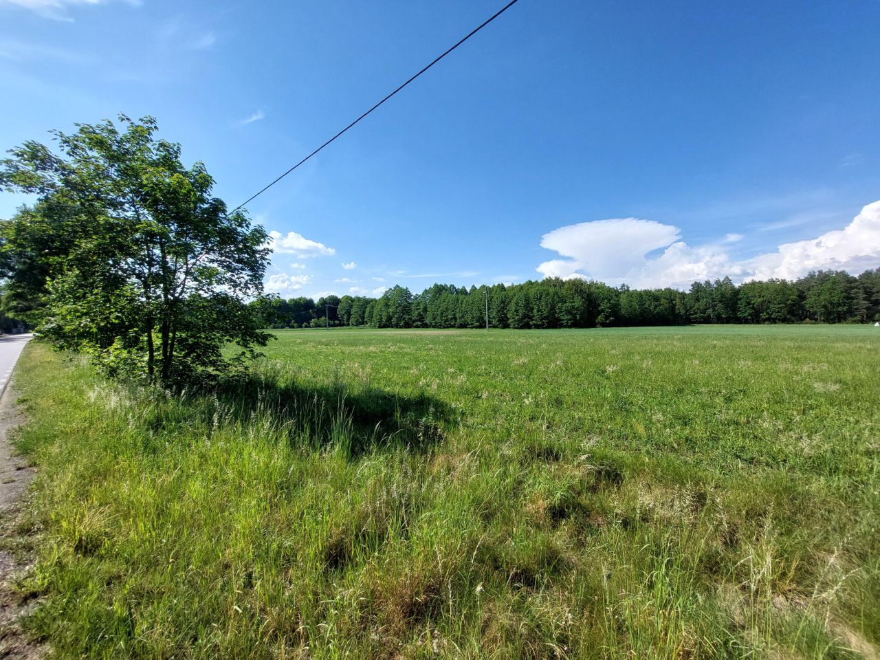 Działka rolno-budowlana Zamęty. Zdjęcie 12