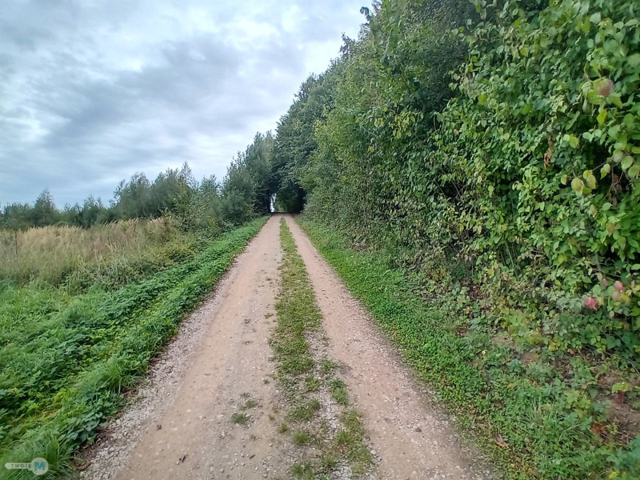 Działka budowlana Morawica. Zdjęcie 8