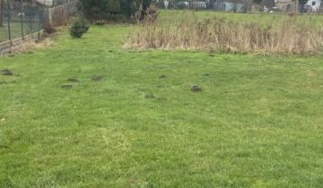 Działka budowlana Rybna, ul. Krokusowa