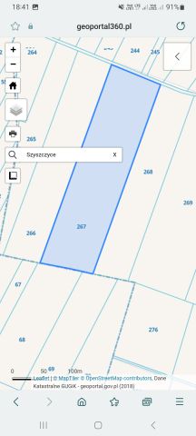 Działka rolna Szyszczyce. Zdjęcie 1