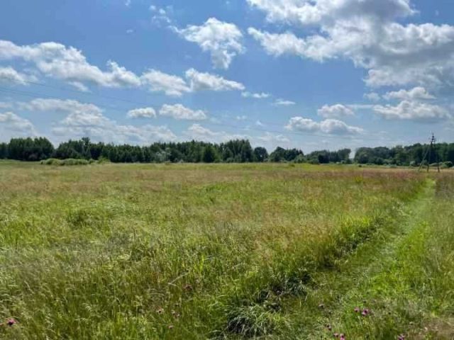 Działka rolna Sawin. Zdjęcie 1