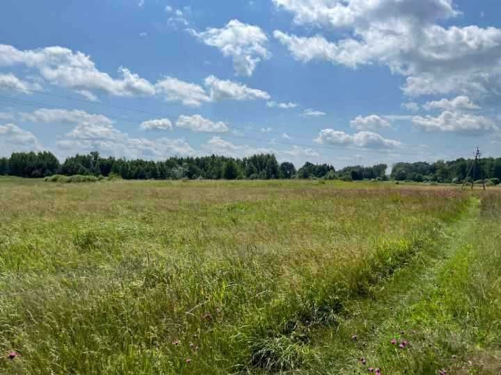 Działka rolna Sawin