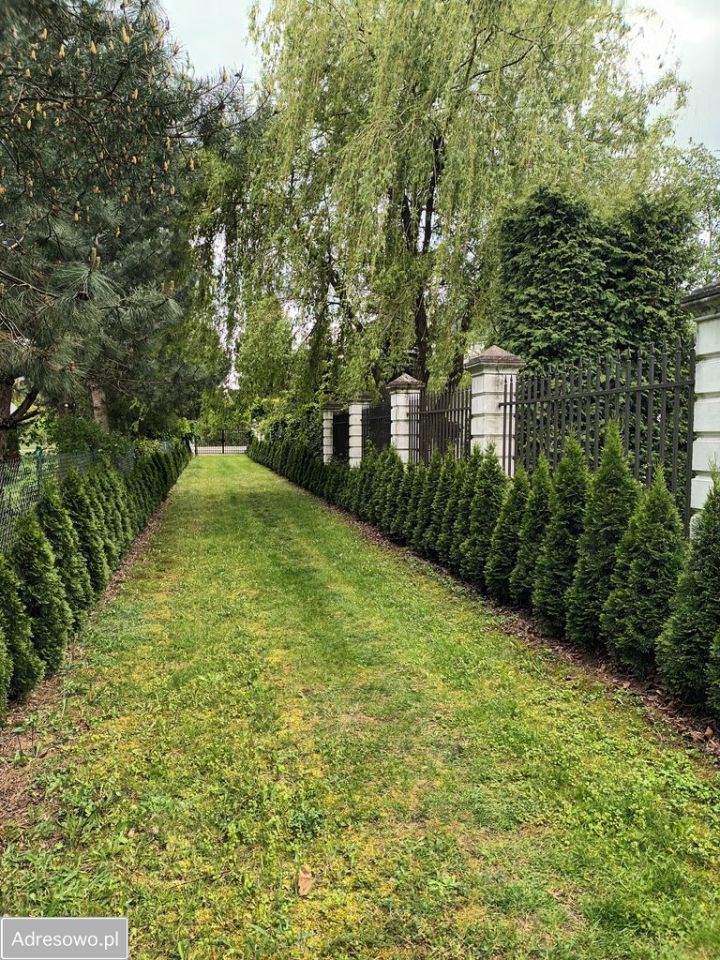 Działka budowlana Dębówka. Zdjęcie 5