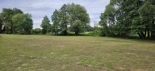 Działka siedliskowa Komarno. Zdjęcie 1