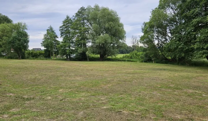 Działka siedliskowa Komarno