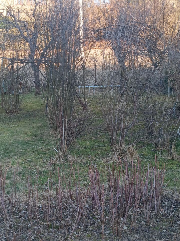 Działka rod Nowy Sącz Wólki, ul. Jadwigi Wolskiej. Zdjęcie 4