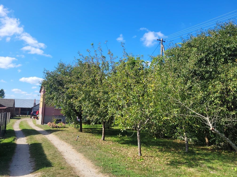 dom wolnostojący Żuków. Zdjęcie 3