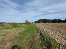 Działka rolno-budowlana Ostrówek, ul. Wspólna. Zdjęcie 4