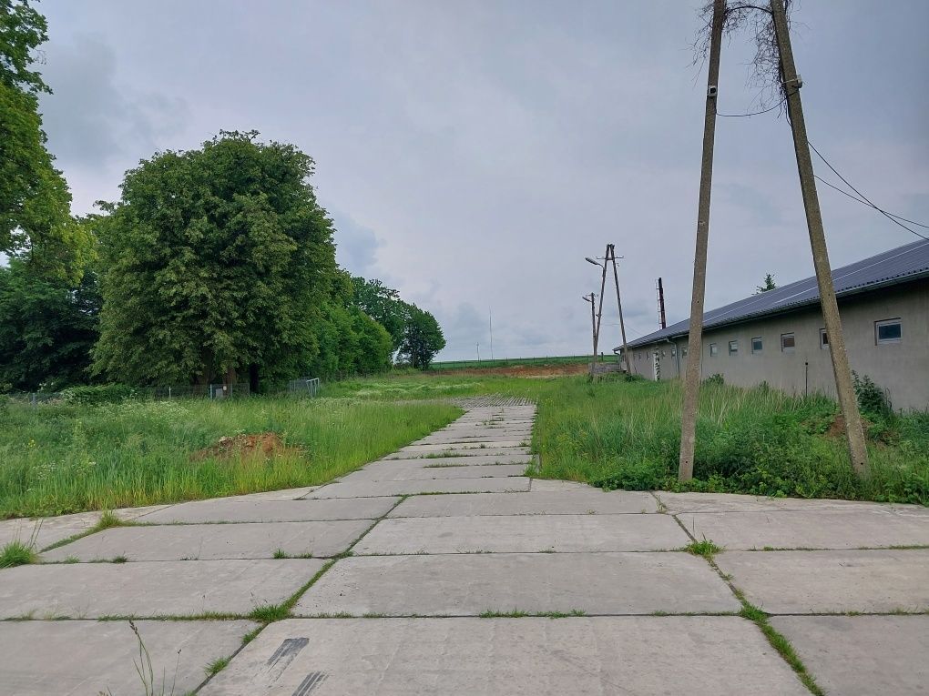 Hala/magazyn Brzeziczki. Zdjęcie 2