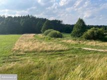 Działka rekreacyjna Dębówiec. Zdjęcie 4