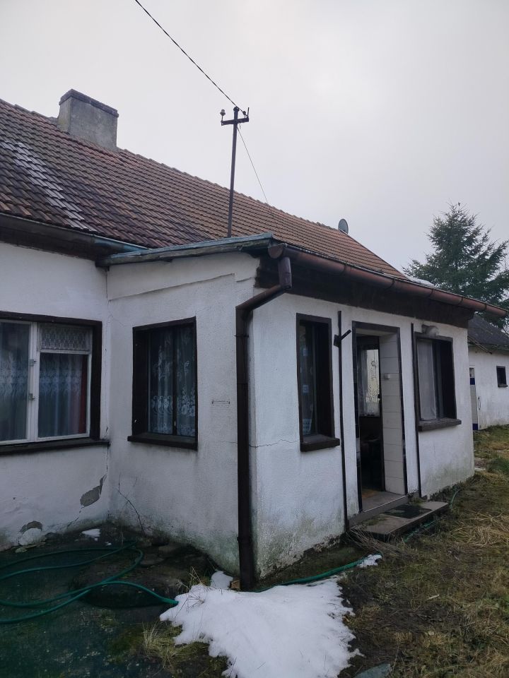 inny Uszyce. Zdjęcie 5