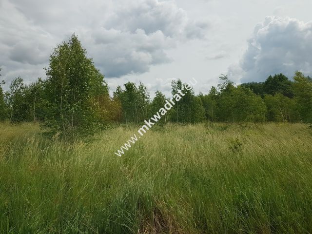 Działka inwestycyjna Jaktorów-Kolonia. Zdjęcie 4