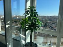 Mieszkanie 4-pokojowe Gdynia Orłowo, ul. Kazimierza Górskiego. Zdjęcie 4