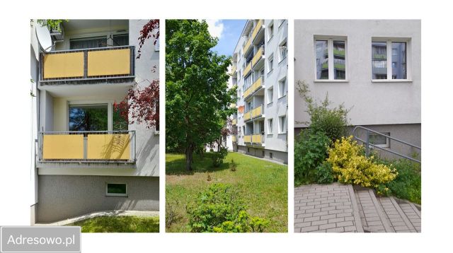Mieszkanie 3-pokojowe Zielona Góra Centrum, ul. Stefana Wyszyńskiego. Zdjęcie 1