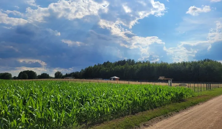 Działka siedliskowa Brzozówka Ziemiańska