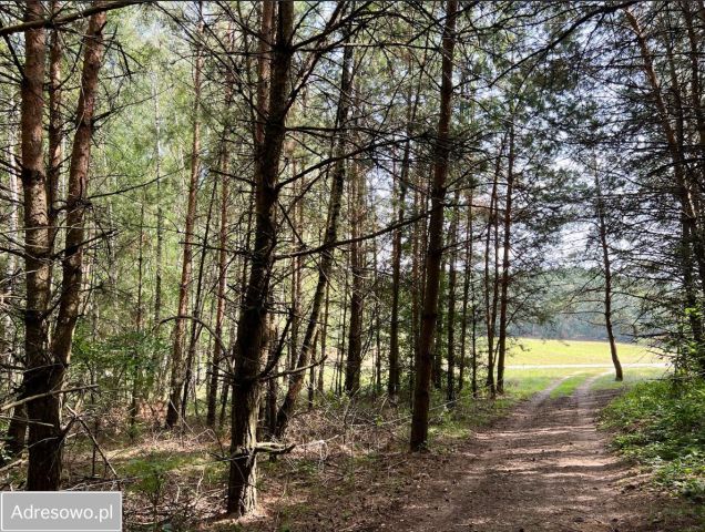 Działka budowlana Jeruzal. Zdjęcie 1