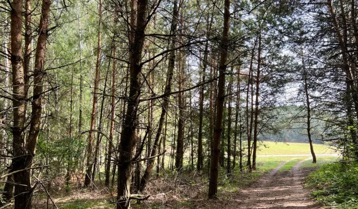 Działka budowlana Jeruzal