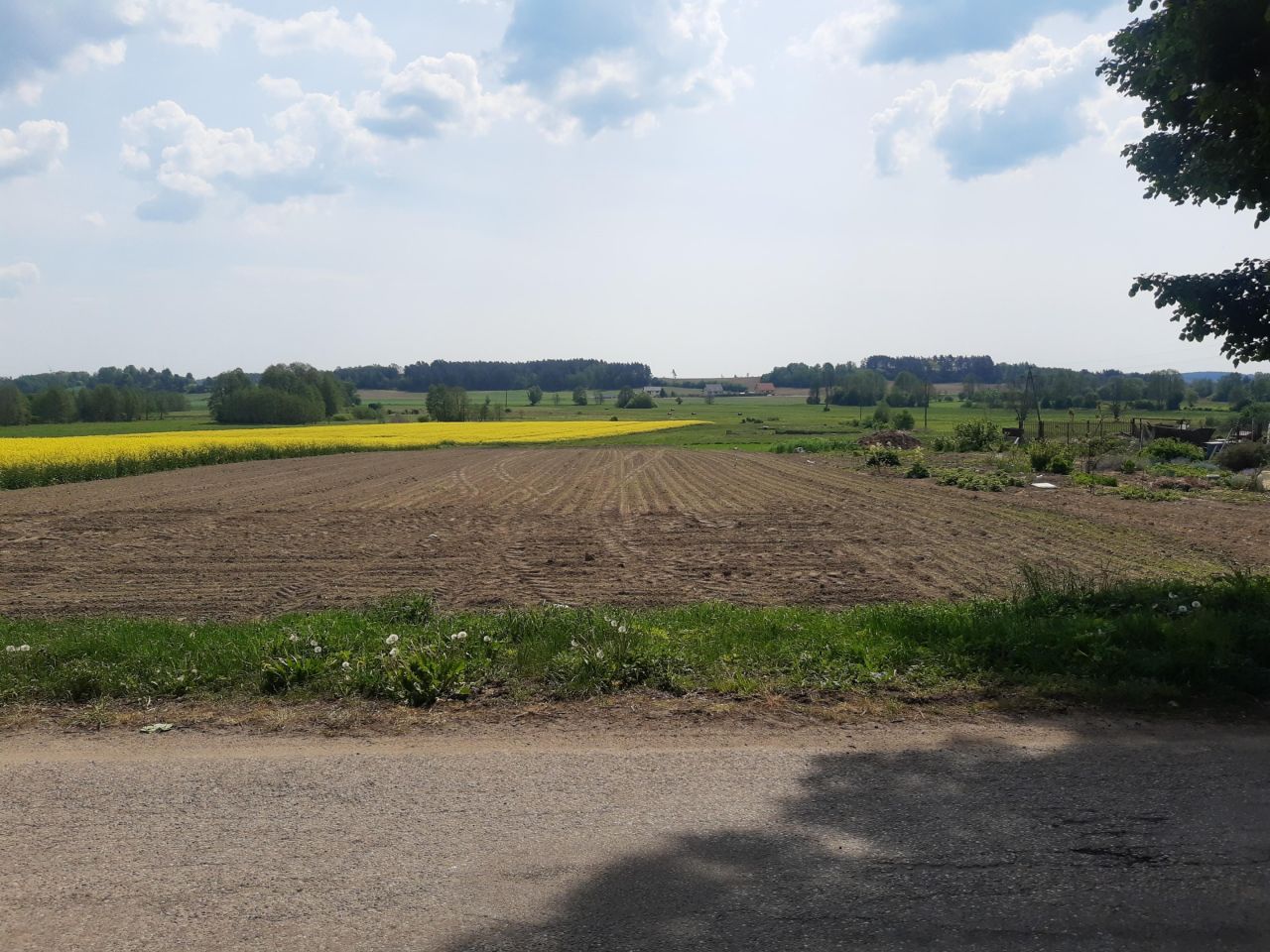 Działka rolna Olszewo. Zdjęcie 3