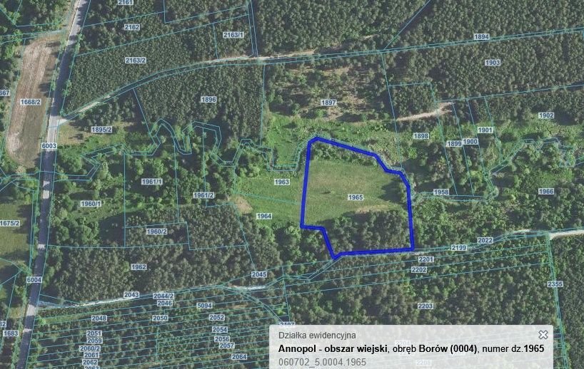 Działka Borów. Zdjęcie 6