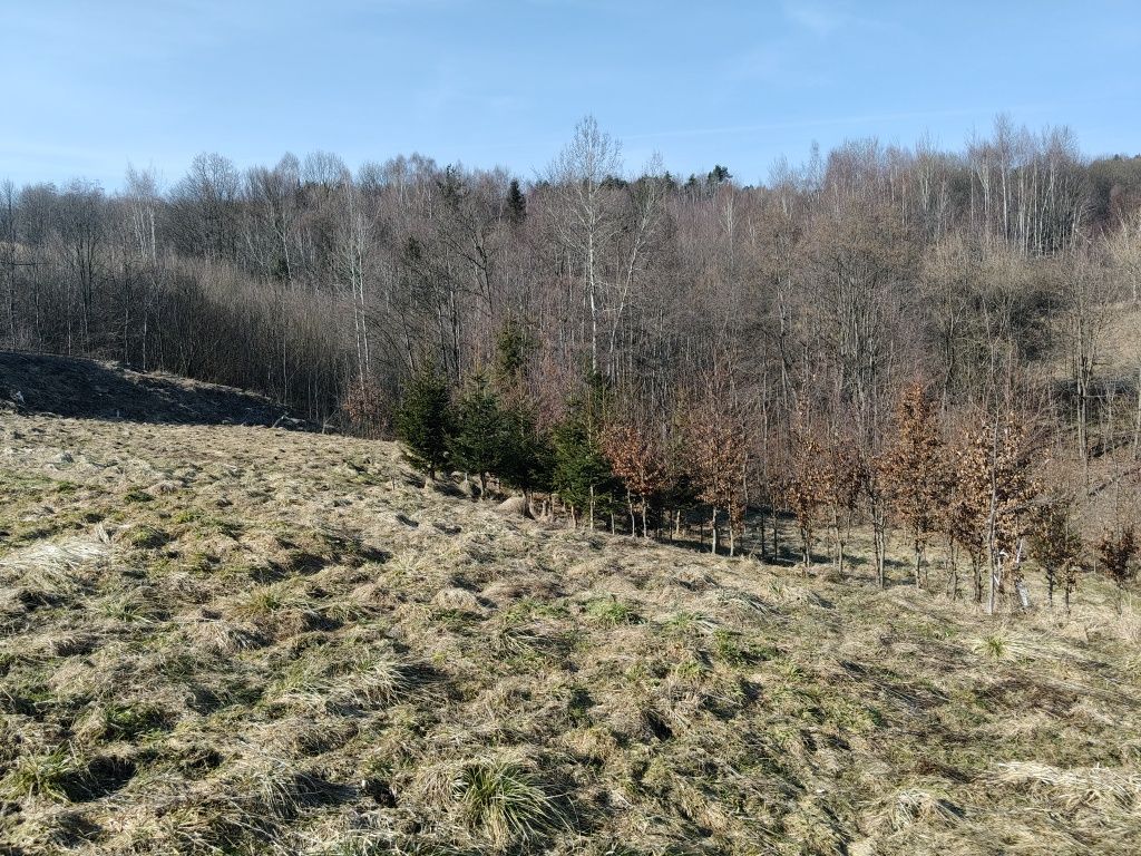 Działka budowlana Bieńkówka. Zdjęcie 7