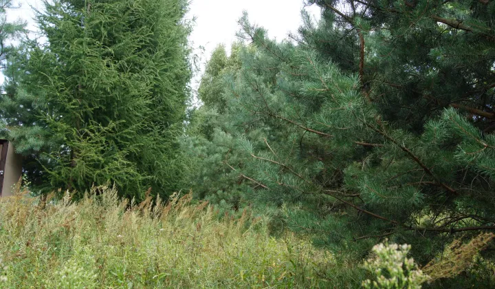 Działka budowlana Nagodów