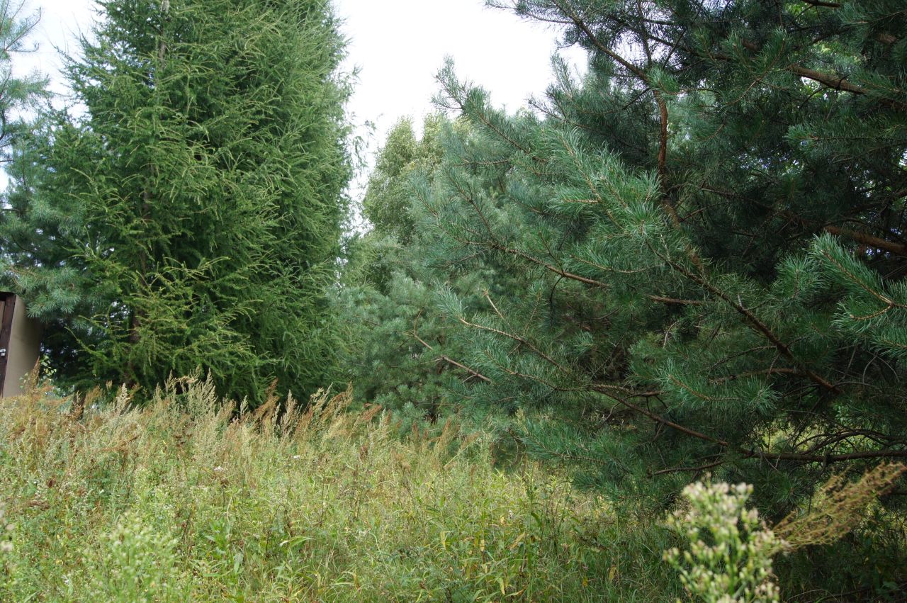 Działka budowlana Nagodów. Zdjęcie 1