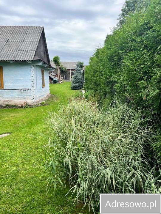 bliźniak Suchowola. Zdjęcie 4