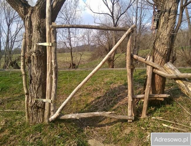 Działka leśna Polana. Zdjęcie 13