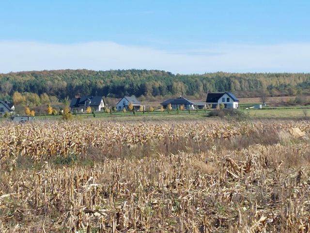 Działka rolno-budowlana Dąbrowa Górnicza Ujejsce, ul. Ogrodników. Zdjęcie 1