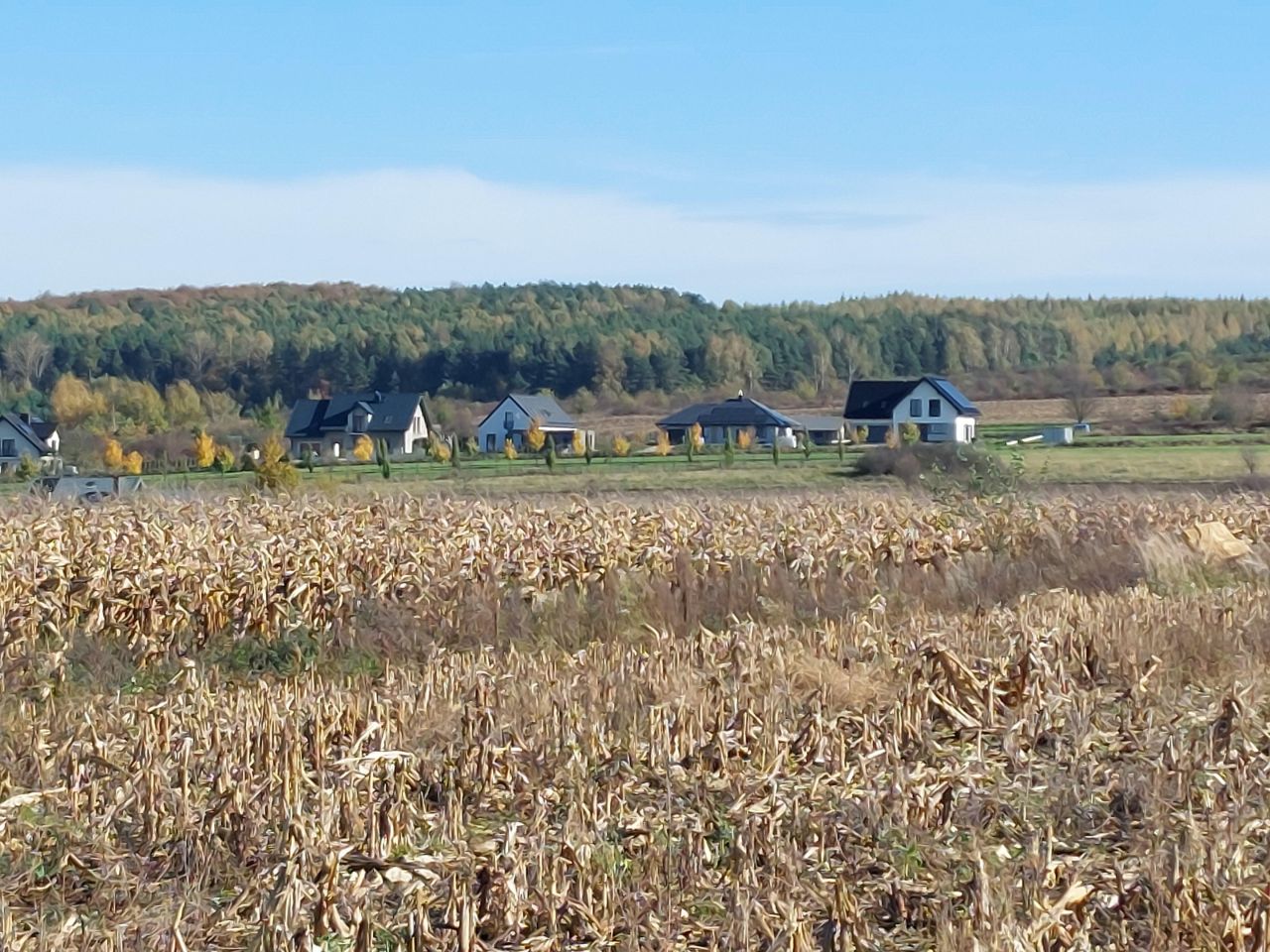 Działka rolno-budowlana Dąbrowa Górnicza Ujejsce, ul. Ogrodników