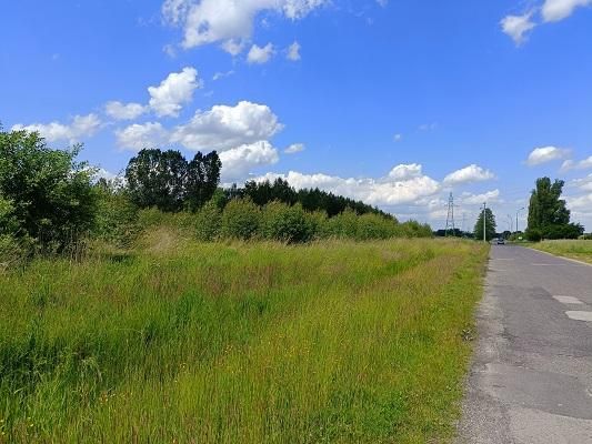 Działka inwestycyjna Piotrków Trybunalski Świerczów, ul. Małopolska. Zdjęcie 2